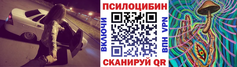 Галлюциногенные грибы Psilocybine cubensis  hydra ссылки  Белая Холуница 